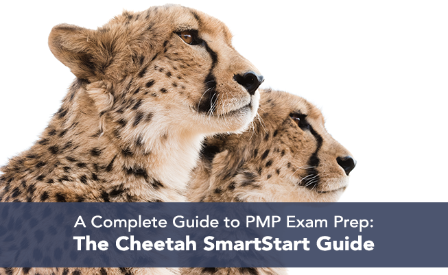 passthepmpexamwithcheetahlearning