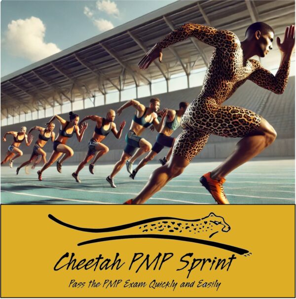 Cheetah PMP Sprint